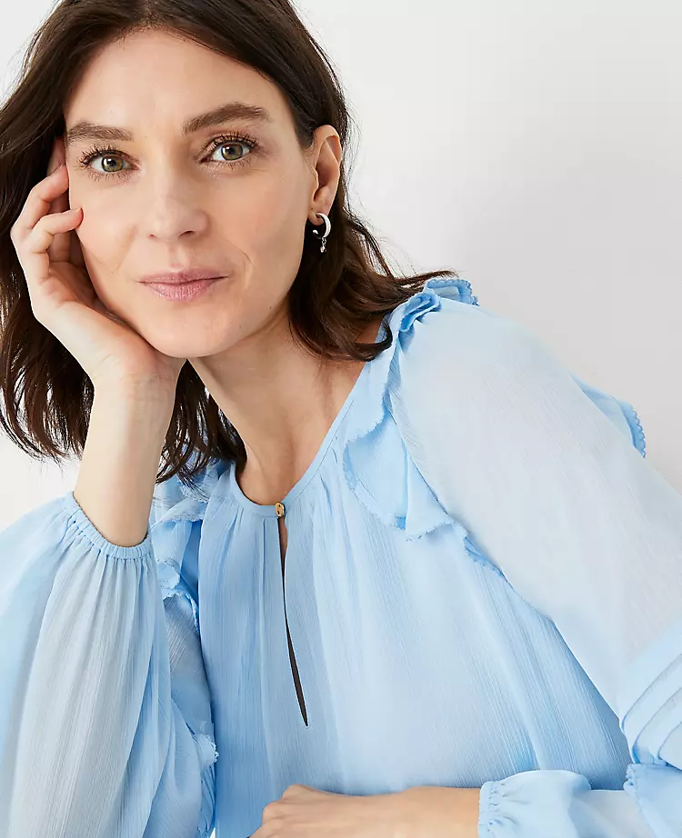 Pintucked Ruffle Sleeve Top 1 Pintucked Ruffle Sleeve Top