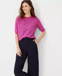 Eyelet Mixed Media Sweater Tee -Ann Taylor Store 611008 8376 ALT2