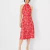 Petite Floral Tie Neck Sleeveless Flare Dress for Work