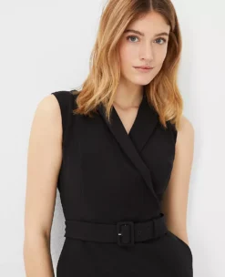 Petite Belted Lapel Work Dress - Sleeveless Fit & Flare Professional Wear -Ann Taylor Store 611470 2222 ALT2
