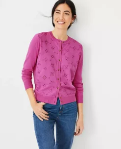 Ann Taylor Petite Mixed Media Eyelet Ann Cardigan