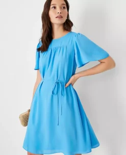 Elegant Petite Flutter Sleeve Belted Shift Dress – Professional Work Wear -Ann Taylor Store 614474 2643 ALT2