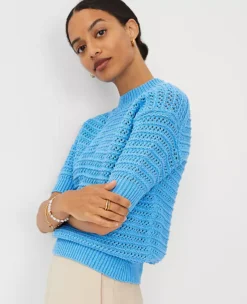 Cerulean Blue Petite Textured Stitch Short Sleeve Sweater 5 Cerulean Blue Petite Textured Stitch Short Sleeve Sweater -Ann Taylor Store 835770 018971 ALT2