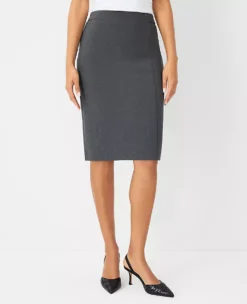 Petite Seamed Pencil Skirt: Curvy Fit Seasonless Stretch in Modern Charcoal