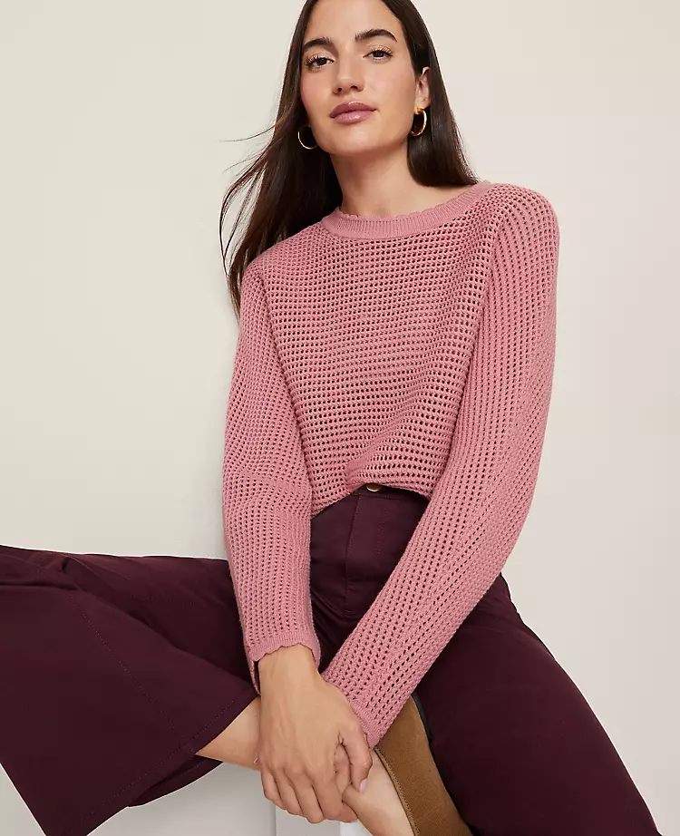 Ann Taylor Petite Weekend Collection Open Stitch Scalloped Sweater - French Pink Clay 1 Ann Taylor Petite Weekend Collection Open Stitch Scalloped Sweater - French Pink Clay