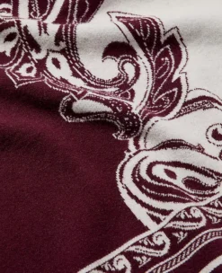 Paisley Wrap Poncho Poised Plum -Ann Taylor Store 846856 9536 ALT3