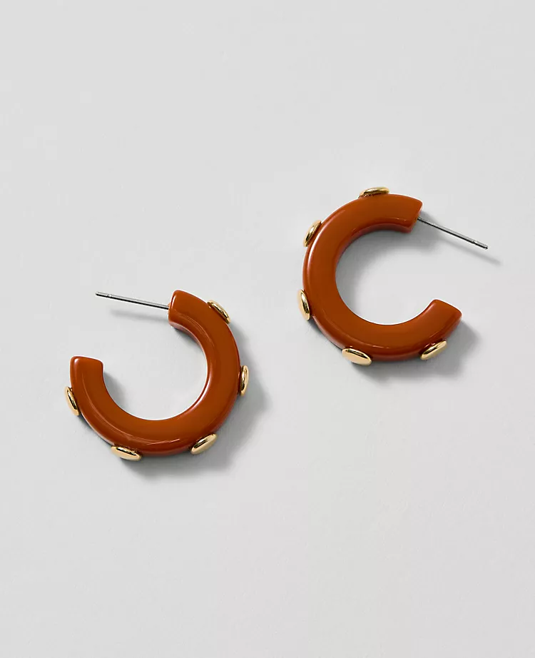 Studded Mini Hoop Earrings in Spiced Cider - Chic Embellished Jewelry 1 Studded Mini Hoop Earrings in Spiced Cider - Chic Embellished Jewelry