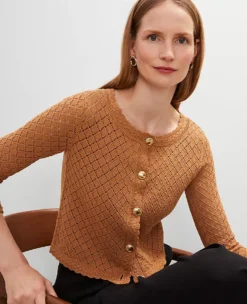 Petite Scalloped Ballet Neck Cardigan in Pecan - 3/4 Sleeve Cotton Sweater 5 Petite Scalloped Ballet Neck Cardigan in Pecan - 3/4 Sleeve Cotton Sweater -Ann Taylor Store 850620 019582 ALT2