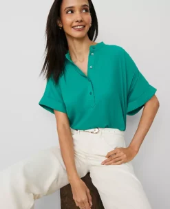 Petite Mock Neck Popover Top with Flowy Dolman Sleeves - Shady Glade 5 Petite Mock Neck Popover Top with Flowy Dolman Sleeves - Shady Glade -Ann Taylor Store 852437 3988 ALT2