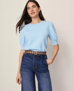 Ann Taylor Petite Weekend Collection Ruched Sweater Tee - Park Fountain