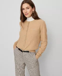Petite Textured Knit Cardigan in Cafe Au Lait -Ann Taylor Store 857558 5824 ALT2