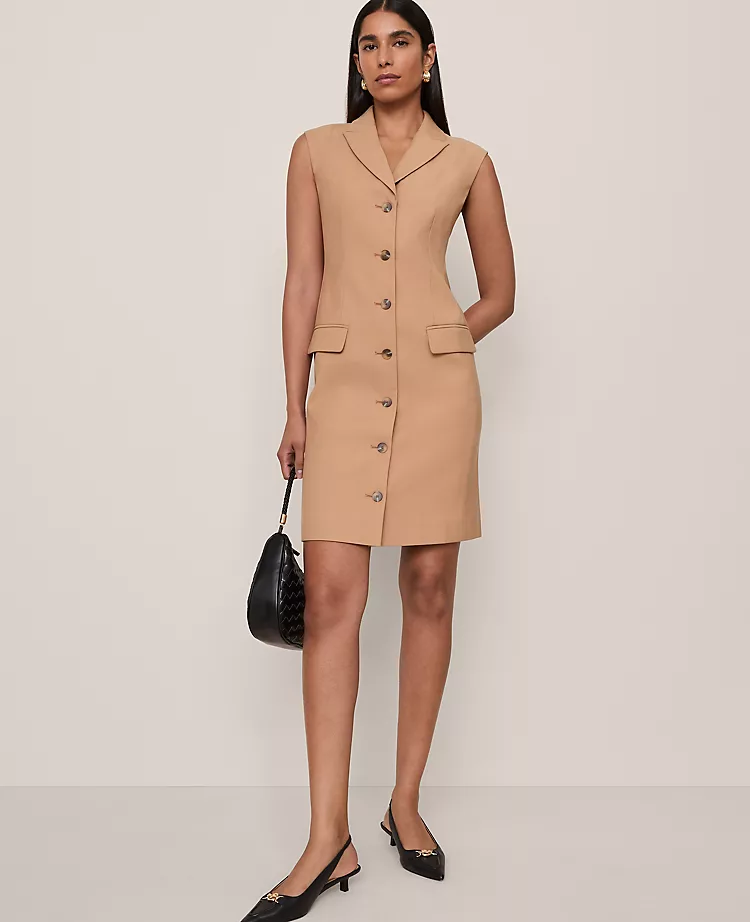 The Peak Lapel Blazer Dress Sesame 1 The Peak Lapel Blazer Dress Sesame